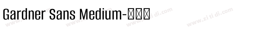 Gardner Sans Medium字体转换